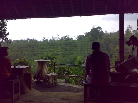 Enjoy a cuppa at the rice fields of Ubud.
